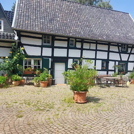 Alte Muehle Zu Vussem - Historisches In Der Eifel *