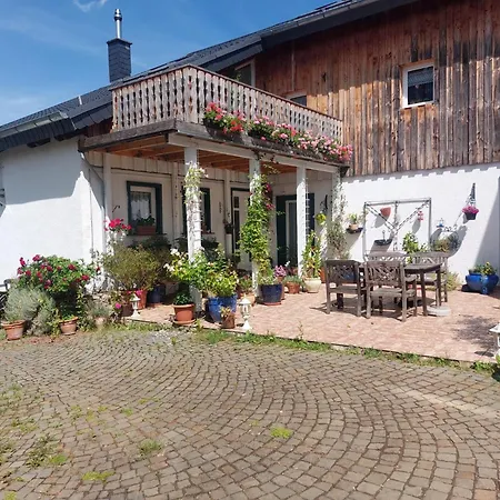 Alte Muehle Zu Vussem - Historisches In Der Eifel Prázdninový dům *