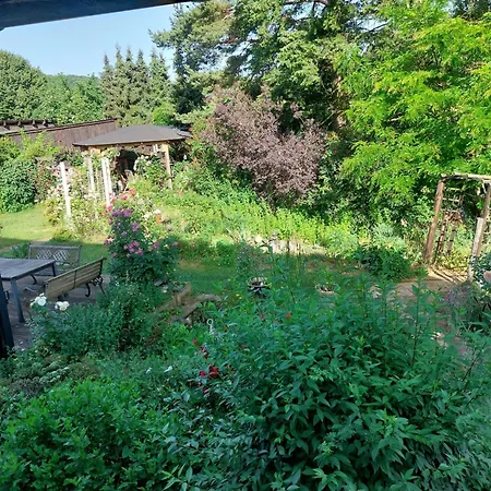 Alte Muehle Zu Vussem - Historisches In Der Eifel Prázdninový dům