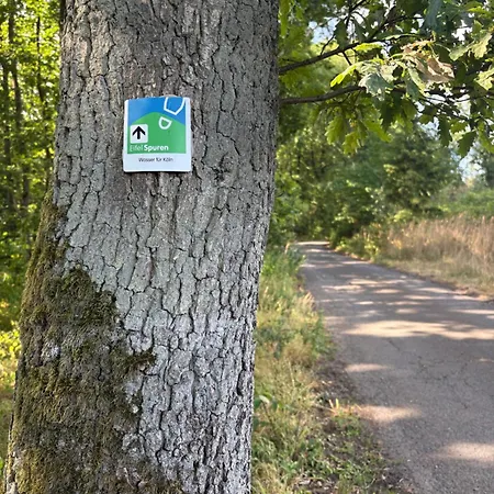 Alte Muehle Zu Vussem - Historisches In Der Eifel * Mechernich
